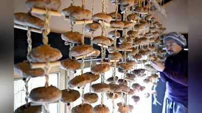 岐阜県関市の伝統食「玉みそ」製造最盛期、甘い香りとまろやかな後味が魅力