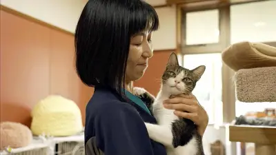 NHK大河ドラマ『信長燃ゆ』視聴率が急上昇、第5話で19.8%を記録