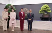 天皇ご一家、国風盆栽展100回記念を鑑賞　400年の五葉松に「素晴らしいですね」