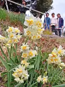 福島県の新たな観光戦略、伝統文化と自然を融合した体験型ツアーを推進