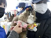 福島県で新たな避難指示解除へ 復興庁が特定復興再生拠点区域の見直しを発表