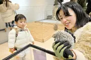 福島県郡山市で動物ふれあいイベント開催 エキゾチックとモフモフの対決が人気