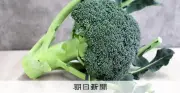 ブロッコリーの魅力を再発見！つぼみだけでなく茎まで味わい尽くす方法