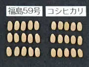 福島県で新たな避難指示解除へ 復興庁が特定復興再生拠点区域の整備計画を発表