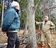 福島県で新たな太陽光発電プロジェクトが始動、再生可能エネルギー拡大へ