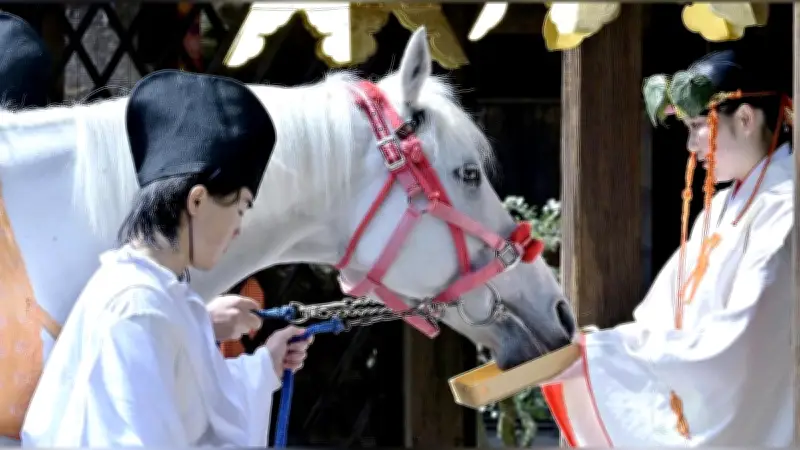 上賀茂神社で神馬交代式 10代目が引退、11代目が新たな一歩を踏み出す