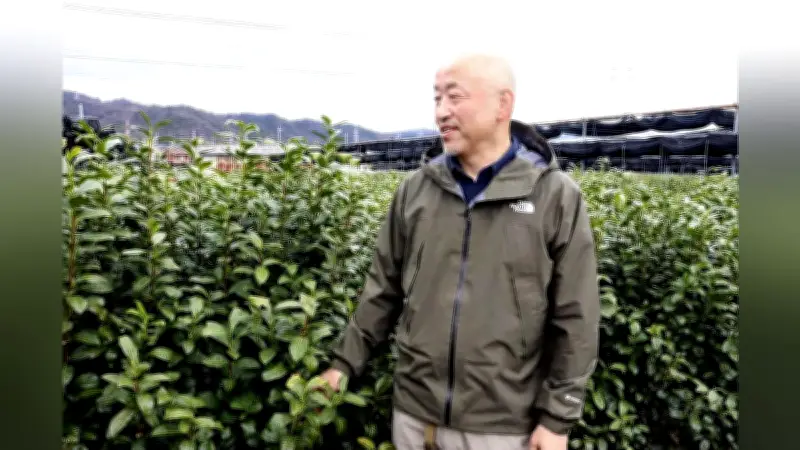 安保法施行10年、自衛隊海外派遣の歯止めとなる「3原則」の意義と現実