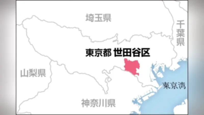 世田谷区砧公園で高さ10メートル超の桜が倒壊、70代女性が下敷きに…救急隊がチェーンソーで切断し救助