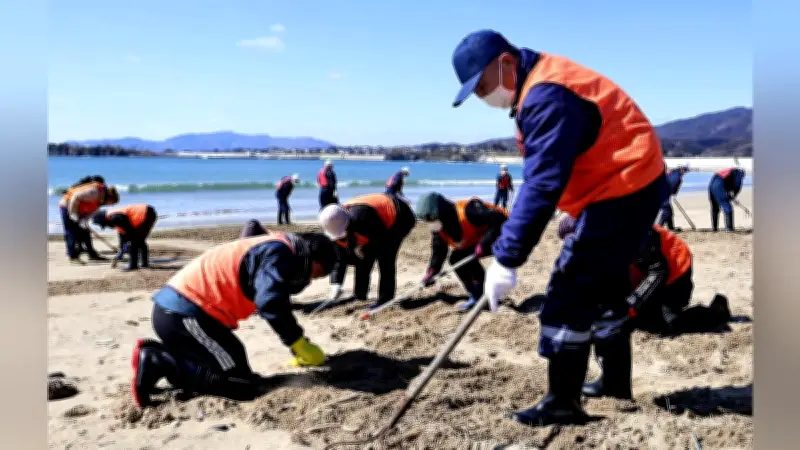 東日本大震災から15年、今も行方不明2519人 気仙沼で5年ぶり捜索活動