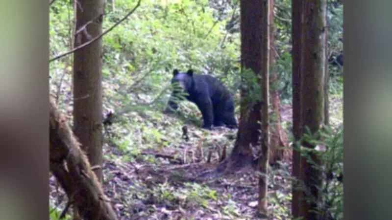 東京都委託会社へのサイバー攻撃、新たに1万8000人の個人情報漏えいの恐れ