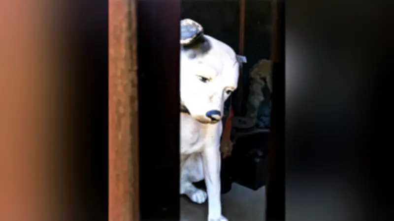 鳥取県から2作品が入選 第48回よみうり写真大賞マイベストフォト第1期