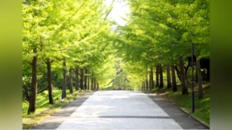 神奈川大学附属中、2026年度一般入試は受験者1455人 第3回で実質倍率6.2倍