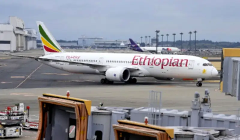 中東情勢悪化で邦人281人がチャーター機で帰国 カタールなど4カ国から