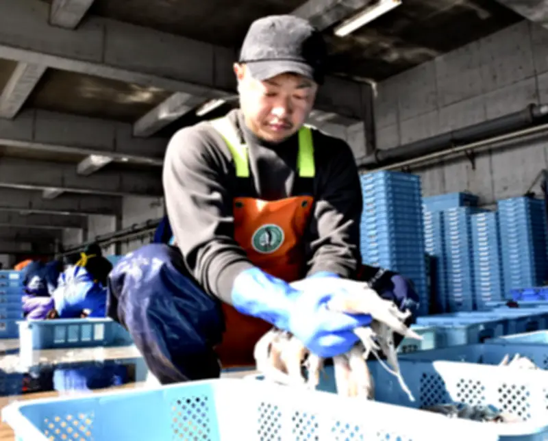 福島県農業産出額、震災前を初めて上回る 2874億円に回復も一時的要因と分析