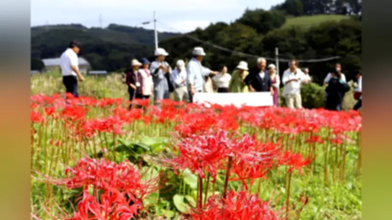 日本板硝子が株式非公開化へ、米ファンドから3000億円支援で経営再建加速