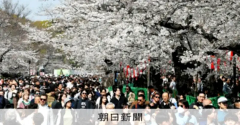 東京の桜が満開に 平年より3日早く、最高気温19.4度で4月中旬並みの暖かさ