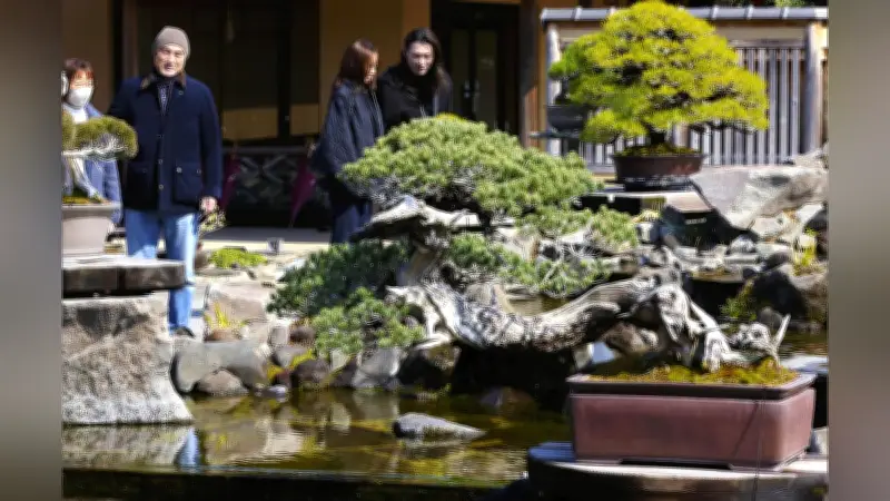 盆栽「青龍」の圧倒的生命力 推定樹齢350年の五葉松が語る「生きる芸術」の真髄