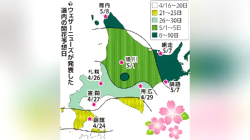 北海道の桜開花予想、函館は4月24日、札幌は26日…GW中に満開の見通し
