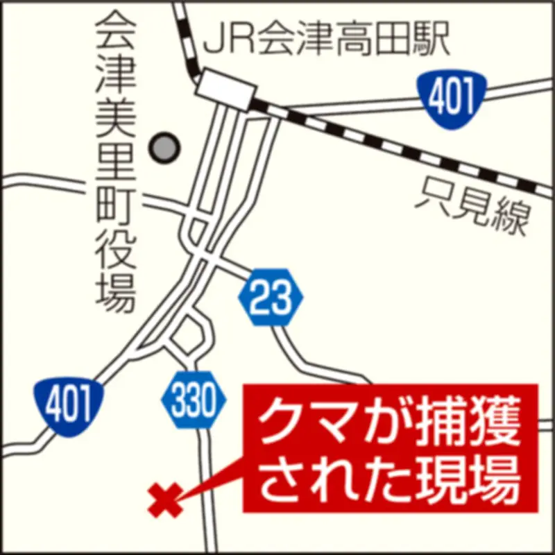 金沢で桜が開花、平年より5日早く春の訪れを告げる