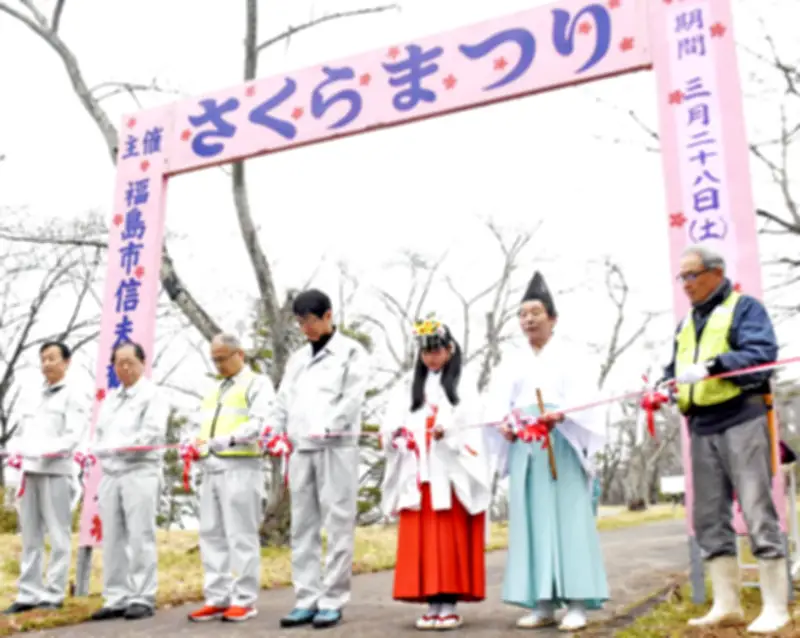 長崎・対馬で「つしまひな祭り」開催、約700体の人形が華やかに展示