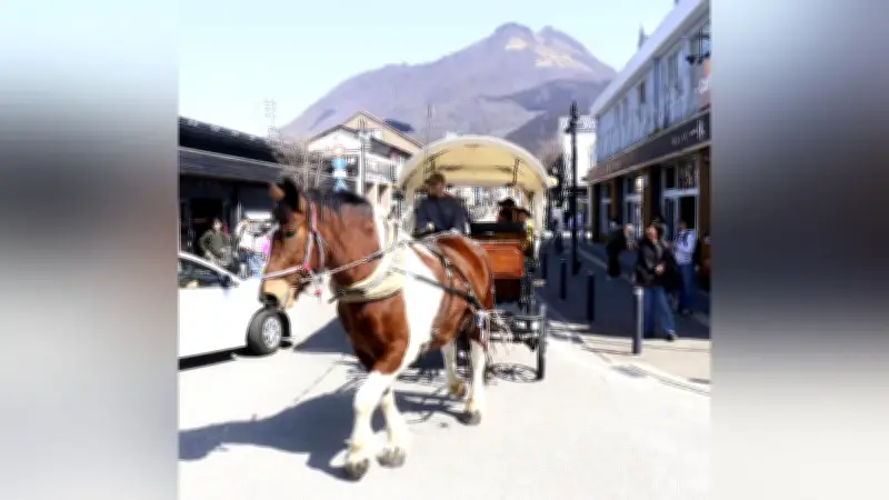 由布院温泉で春を告げる観光辻馬車が運行開始、復興の歴史を伝える