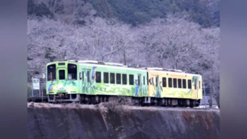 岩国市、錦川清流線を全線存続へ 「みなし上下分離」方式で赤字解消目指す