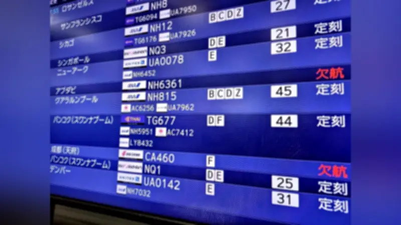 イラン攻撃で日本の航空大手に旅客減の影、長期化なら欠航便増加と世界的需要縮小のリスク