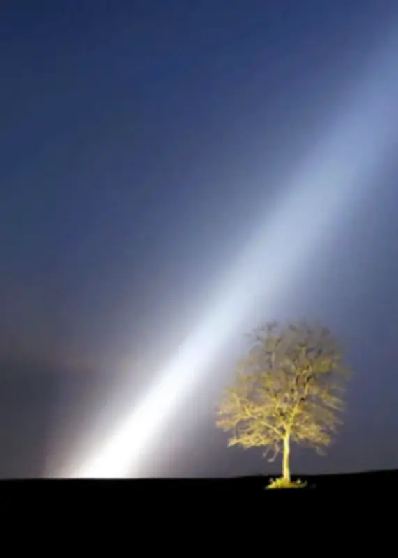 精霊の木に光のモニュメント 園児がタイサンボクの葉に復興願いを書き込む