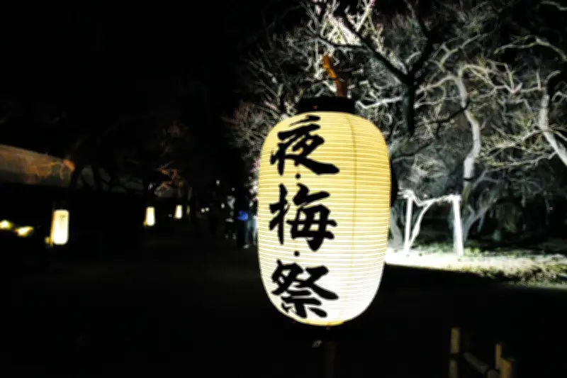 水戸城跡で幻想的な夜の梅祭り 水府提灯とプロジェクションマッピングで彩る