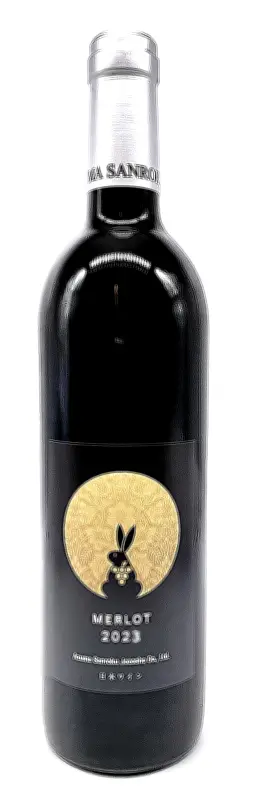 福島県立美術館で「大ゴッホ展」ナイトミュージアム開催、閉館後のゆったり鑑賞を提供