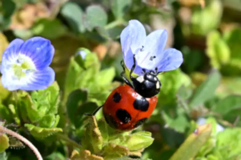福島県で新たな放射性物質漏洩が確認、周辺環境への影響調査を開始