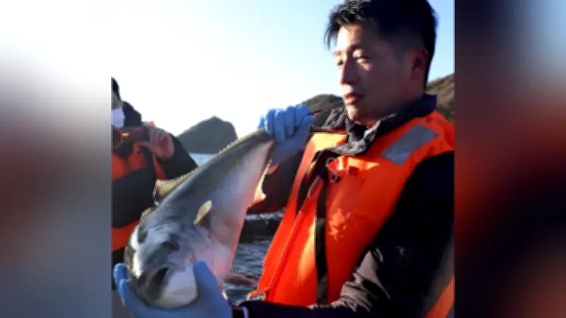 オーガニック市場が拡大、農産物から養殖魚・衣類まで多様化