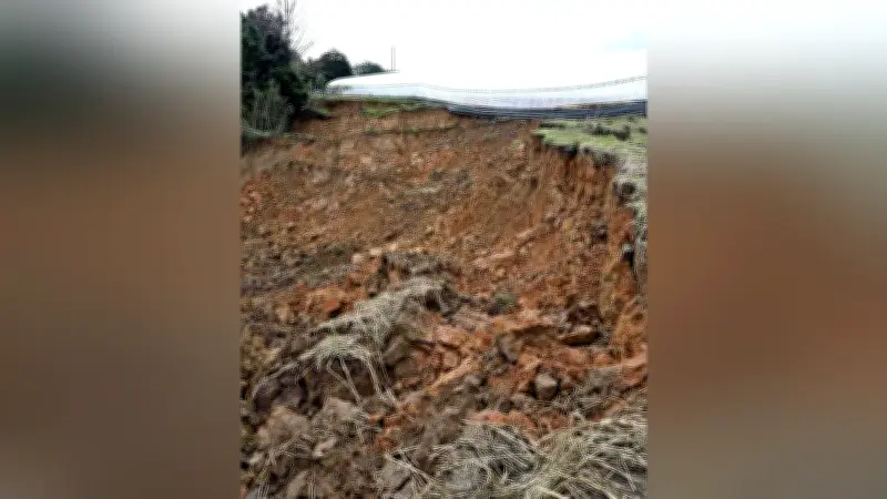鳥取県倉吉市で農地のり面が大規模崩落、スイカハウスも被害