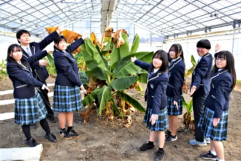 ふたば未来学園の生徒が広野町産バナナで新スイーツ開発、地域復興の担い手育つ