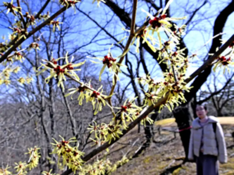 福島県の新たな観光ルート「ふくしま海道」が開通、復興と地域活性化を促進