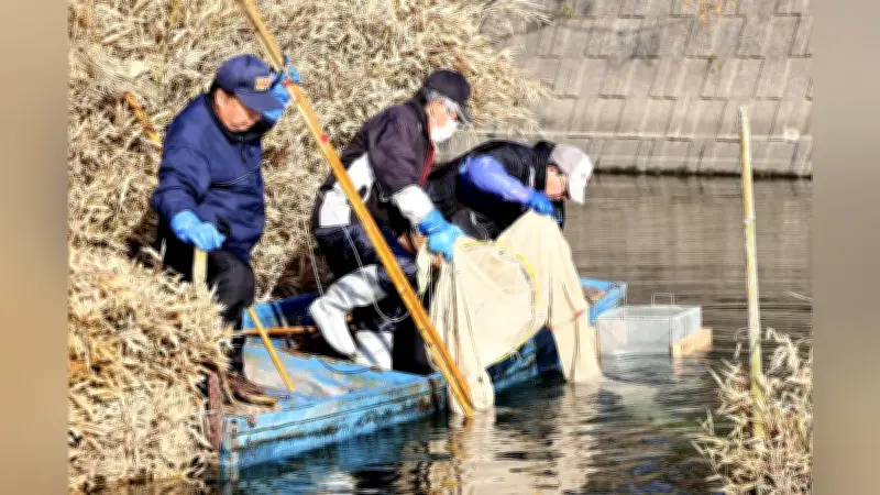 大分県佐伯市で江戸時代から続くシロウオ漁、春の風物詩を次世代へ継承