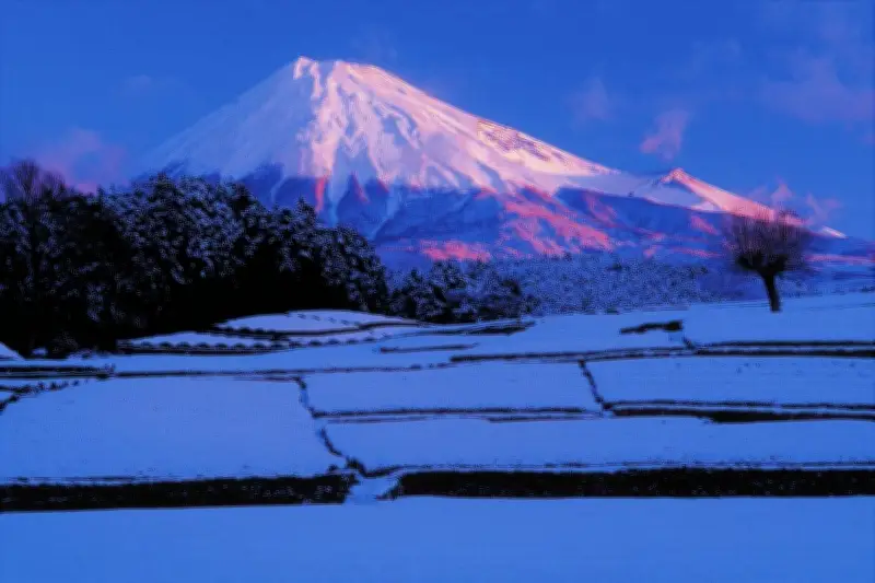 かぐや姫は月ではなく富士山へ帰った？静岡・富士市に伝わる独自の竹取物語