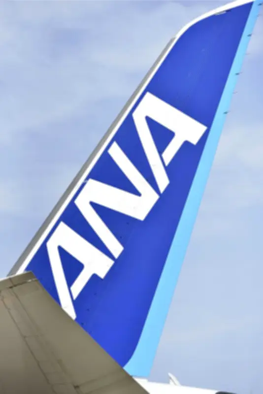 全日空機が米国テキサス州で尾部接触事故　けが人なしも航空事故に認定