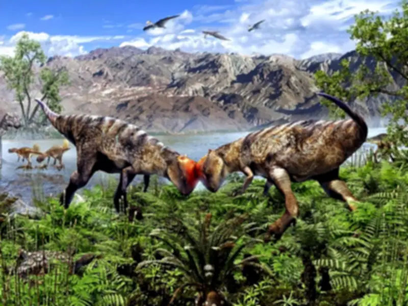 モンゴルで発見の最古パキケファロサウルス類化石、福島県立博物館で世界初公開