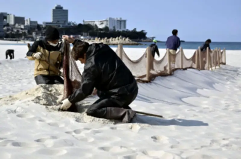 白良浜で防砂ネット撤去完了　春の訪れ告げる恒例作業、白砂のビーチが鮮やかに