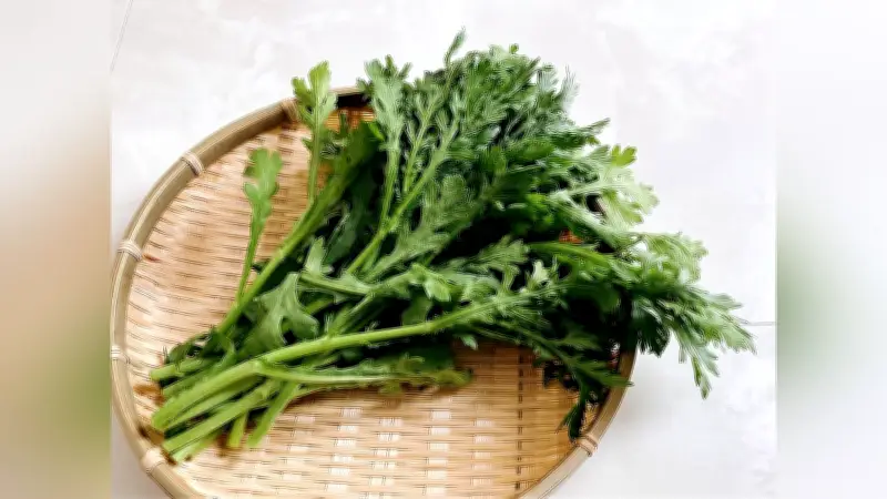 春菊を生で楽しむ！鮮度の見極め方と簡単シーザーサラダレシピを紹介