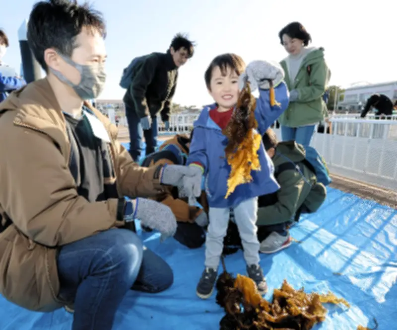 八景島シーパラダイスでワカメ収穫体験 家族で学ぶブルーカーボンと温暖化対策