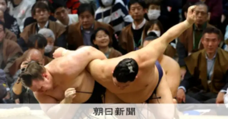 安青錦の快進撃が止まった理由とは？ 深掘り綱とりと初の試練の克服法