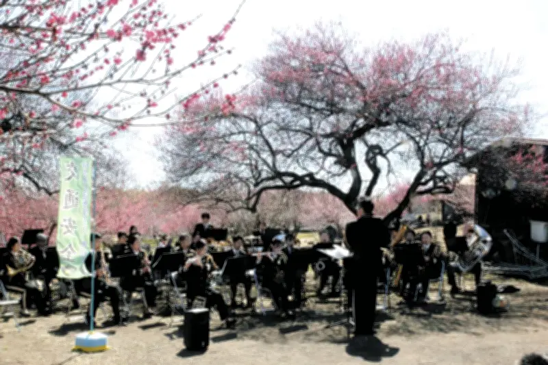 群馬県安中市の秋間梅林で県警音楽隊が春の演奏会 交通安全イベントも開催