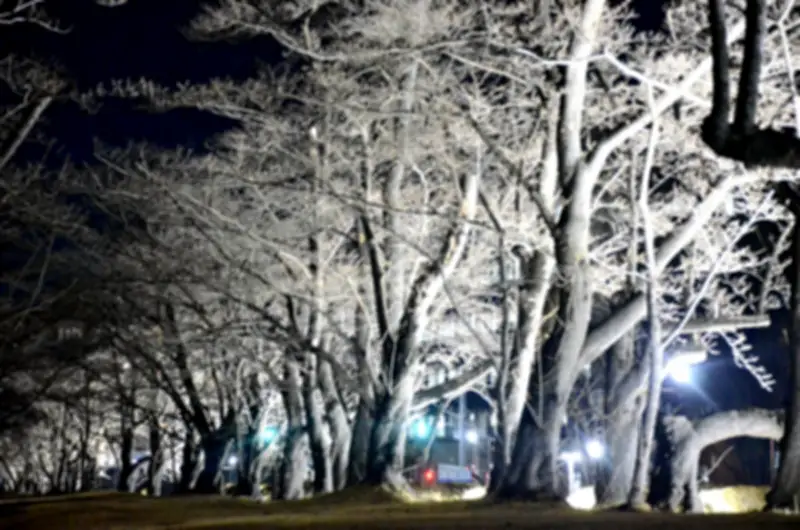 福島県の新たな観光戦略、地域活性化へ向けた取り組みを強化