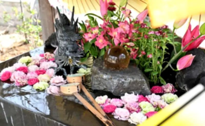 新宿・法輪寺の花手水が参拝者を癒やす コロナ禍で始まった美しいもてなし