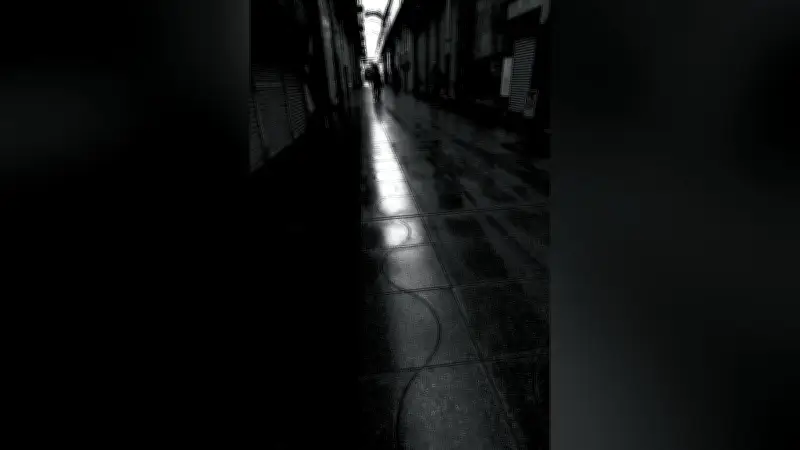 写真教室で学ぶ、プロの技術と表現の魅力を探る