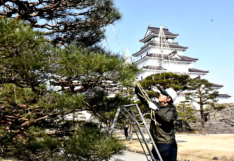 福島県の新たな観光戦略、地元の魅力を再発見し持続可能な地域活性化を目指す