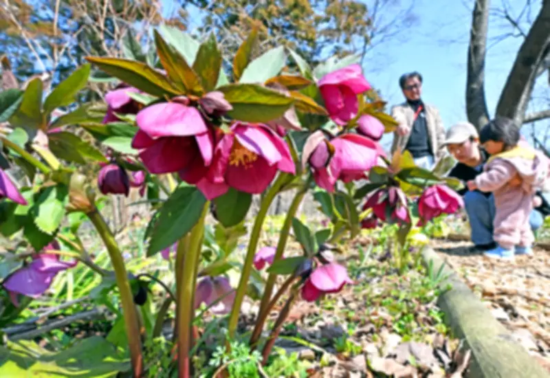 福島県の新たな観光プロジェクトが始動、地域活性化へ期待高まる