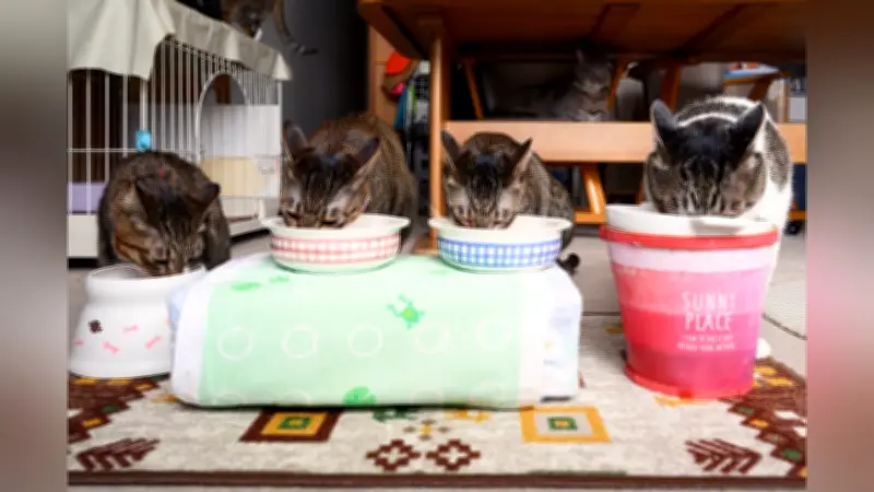 浜ではオラオラ、家では甘えん坊…二つの顔を持つケンジに見る「トップの孤独」